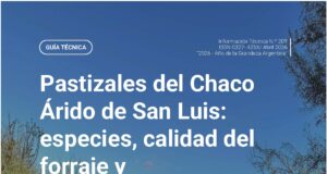 Radiografía del Chaco Árido puntano: el desafío de producir carne en uno de los ecosistemas más frágiles del país