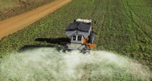 Suben petróleo y fertilizantes, mientras el mercado espera el informe clave del USDA