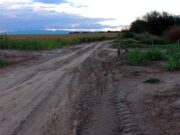 Ahora roban tranqueras en campos de San Luis y crece la alarma entre productores