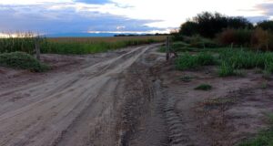 Ahora roban tranqueras en campos de San Luis y crece la alarma entre productores