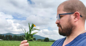 Preocupan los efectos de las plantas tóxicas en el ganado ante la expansión de la frontera agrícola