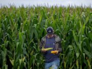 Conflicto en Medio Oriente, suba de fertilizantes y cambios en la siembra en EEUU