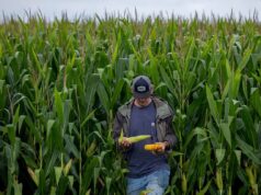 Conflicto en Medio Oriente, suba de fertilizantes y cambios en la siembra en EEUU