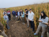 Estudiantes de Agronomía realizaron nueva práctica en un establecimiento de alto nivel tecnológico