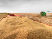 Soja: la presión de cosecha se intensifica en medio de la tensión en Medio Oriente y un escenario global incierto