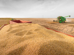 Soja: la presión de cosecha se intensifica en medio de la tensión en Medio Oriente y un escenario global incierto