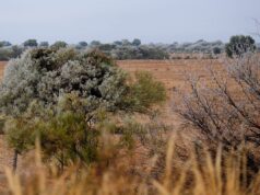 Más de treinta localidades registraron heladas en San Luis y Navia marcó la temperatura más baja
