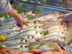 Semana Santa: Recomendaciones para un consumo seguro de productos de la pesca