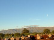 Un modelo ganadero que logra ganancias de hasta 1,1 kilo diario en el norte de San Luis