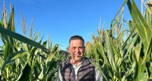 Crece la contratación de seguros agrícolas ante márgenes ajustados y tormentas cada vez más frecuentes