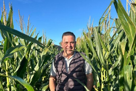 Crece la contratación de seguros agrícolas ante márgenes ajustados y tormentas cada vez más frecuentes