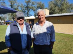 Angus avanza con fuerza en San Luis y el interior: “La raza no deja de crecer y el futuro es cada vez más prometedor”