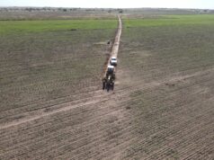 San Luis refuerza su infraestructura hídrica con tareas de limpieza en más de 80 kilómetros de acueductos clave