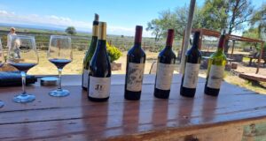 Pietro In Bramasole abrió sus puertas y convirtió sueños en experiencia, vino y emoción al pie de las sierras