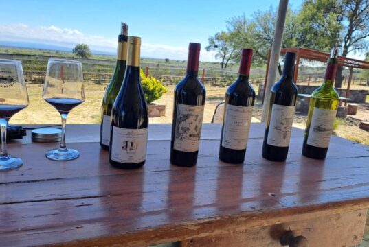 Pietro In Bramasole abrió sus puertas y convirtió sueños en experiencia, vino y emoción al pie de las sierras