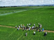 El Gobierno Nacional promueve el riego agropecuario con reducción del IVA y estímulos de inversión