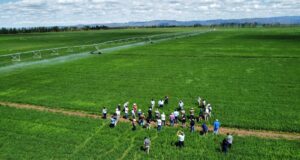 El Gobierno Nacional promueve el riego agropecuario con reducción del IVA y estímulos de inversión