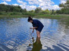 Investigan el rol de las represas ganaderas en la calidad del agua del oeste de San Luis