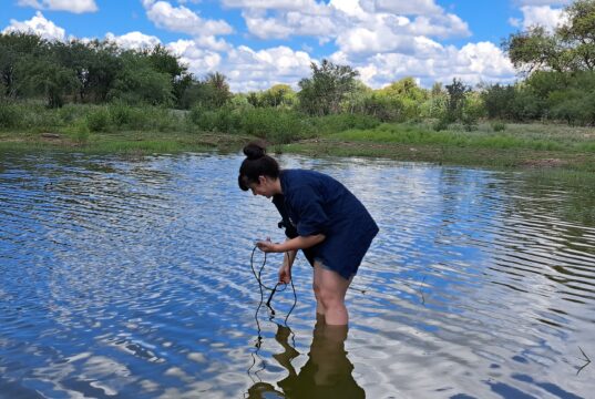 Investigan el rol de las represas ganaderas en la calidad del agua del oeste de San Luis