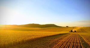 Cuánto vale la tierra en San Luis