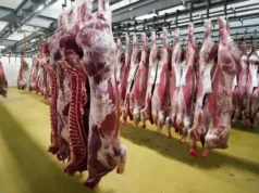 Exportaciones de carne crecen en dólares pero enfrentan un límite por la escasez de hacienda