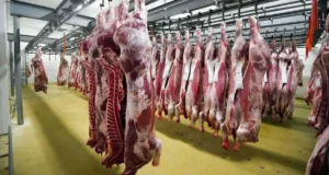 Exportaciones de carne crecen en dólares pero enfrentan un límite por la escasez de hacienda