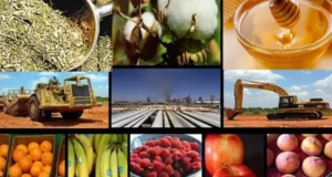 Nueve economías regionales ya están en rojo y la rentabilidad se derrumba