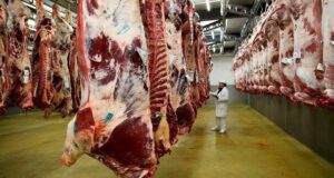 Carne en alerta: cae la faena, suben las exportaciones y el consumo interno sigue en retroceso