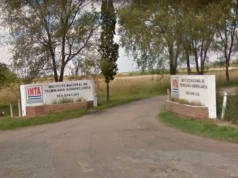 En el gobierno nacional esperan que 950 empleados del INTA, el 20% del total, acepten un retiro voluntario