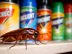 Advierten sobre los peligros de los plaguicidas domésticos