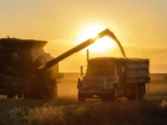 La confianza del campo cae 16% y la inversión se frena