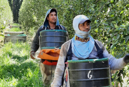 El RENATRE actualizó la Prestación por Desempleo y alcanza el monto máximo en $374.954