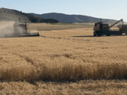 Cosecha récord en el agro: 160 millones de toneladas y USD 5.000 millones para el país