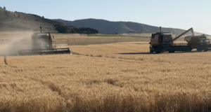 Cosecha récord en el agro: 160 millones de toneladas y USD 5.000 millones para el país