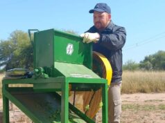 Desarrollan una máquina picadora para mejorar la alimentación ganadera en ambientes áridos
