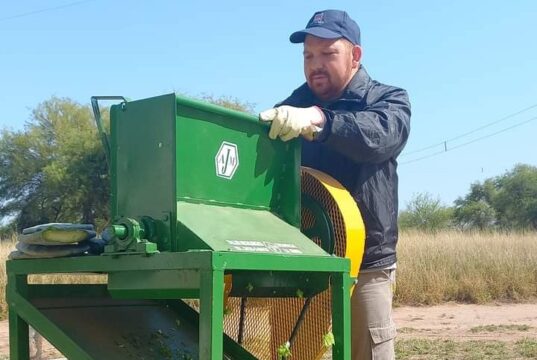 Desarrollan una máquina picadora para mejorar la alimentación ganadera en ambientes áridos