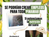 Se podrían crear empleos para toda Pinamar