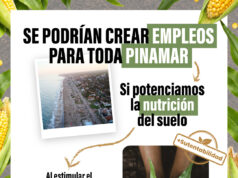 Se podrían crear empleos para toda Pinamar