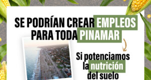 Se podrían crear empleos para toda Pinamar