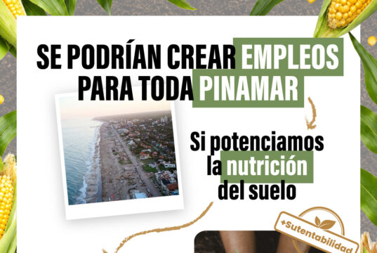 Se podrían crear empleos para toda Pinamar