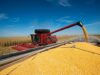 El Gobierno extendió la baja de retenciones al maíz, el girasol y el sorgo