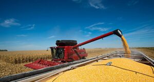 El Gobierno extendió la baja de retenciones al maíz, el girasol y el sorgo