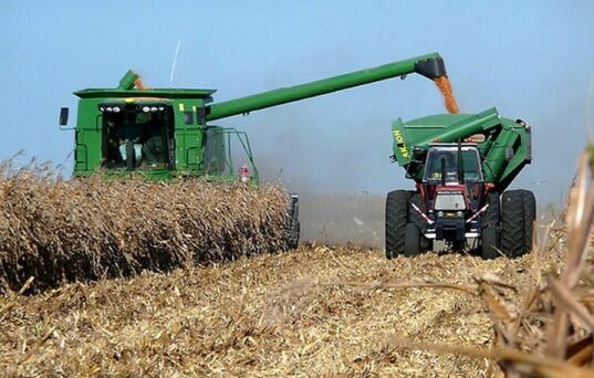 El productor que desafió al semiárido y logra rindes récord de hasta 11 toneladas de maíz por hectárea en San Luis