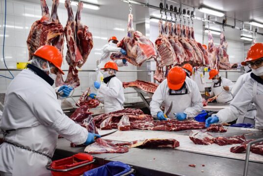 Precios récord y mayor participación en mercados de alto valor sostienen el desempeño exportador