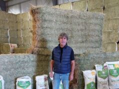 San Luis: Desde Candelaria se exportaron por primera vez 500 toneladas de fardos de alfalfa a China