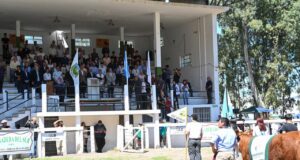 San Luis se prepara para vivir una nueva edición de la Fiesta del Ternero