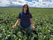 Una ingeniera joven lidera tres estancias de San Luis en un sector históricamente masculino