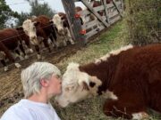Una nueva generación ganadera que apuesta por combinar genética pastoril, manejo y tecnología digital desde las sierras de San Luis