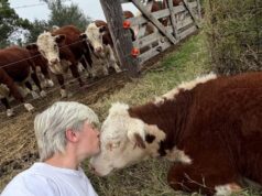 Una nueva generación ganadera que apuesta por combinar genética pastoril, manejo y tecnología digital desde las sierras de San Luis