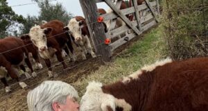 Una nueva generación ganadera que apuesta por combinar genética pastoril, manejo y tecnología digital desde las sierras de San Luis